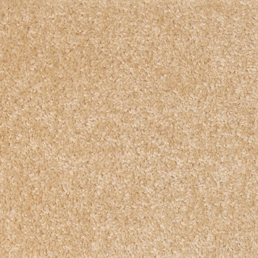 Dublin Twist Felt Berber 31 Carpet