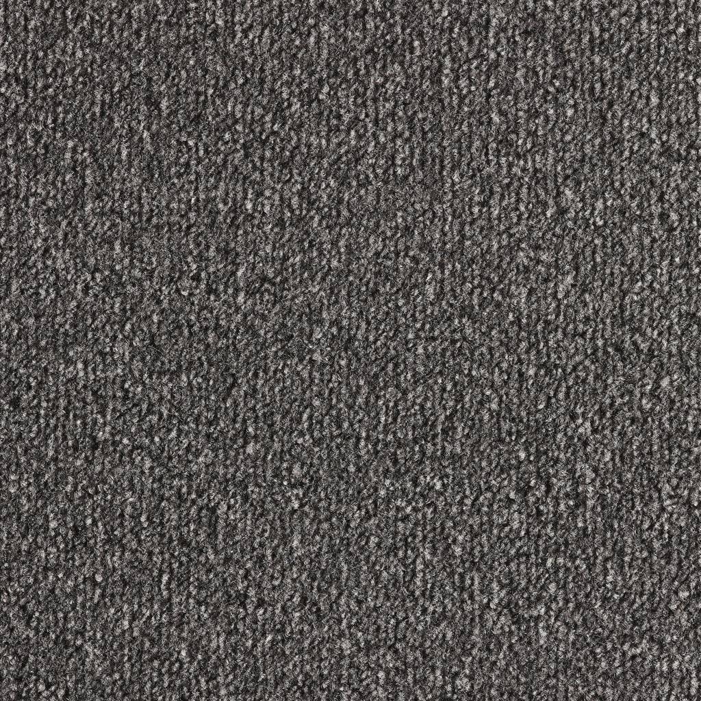 Easy Living Felt Iron 166 Carpet