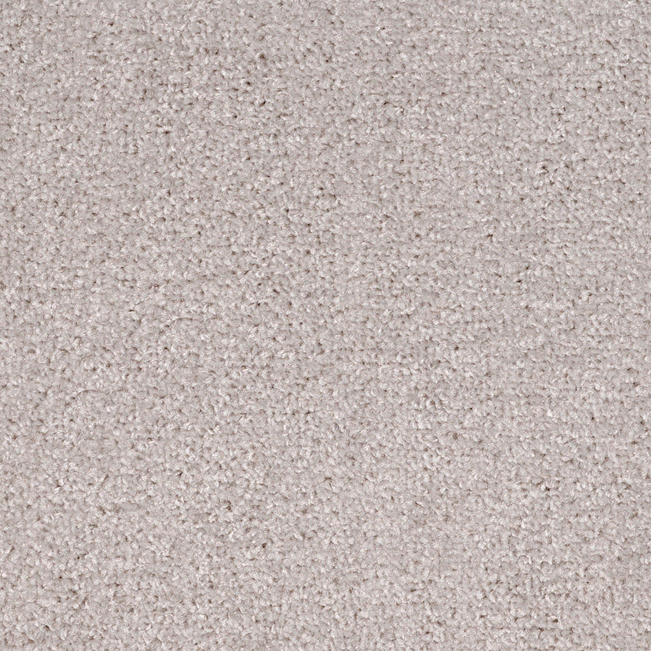 Dalton Fb 2025 Arctic Ice 09 Carpet