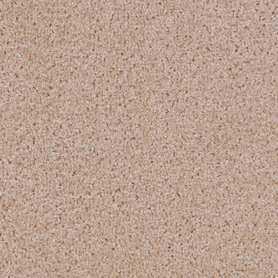 Dalton Fb 2025 Cappuccino 33 Carpet