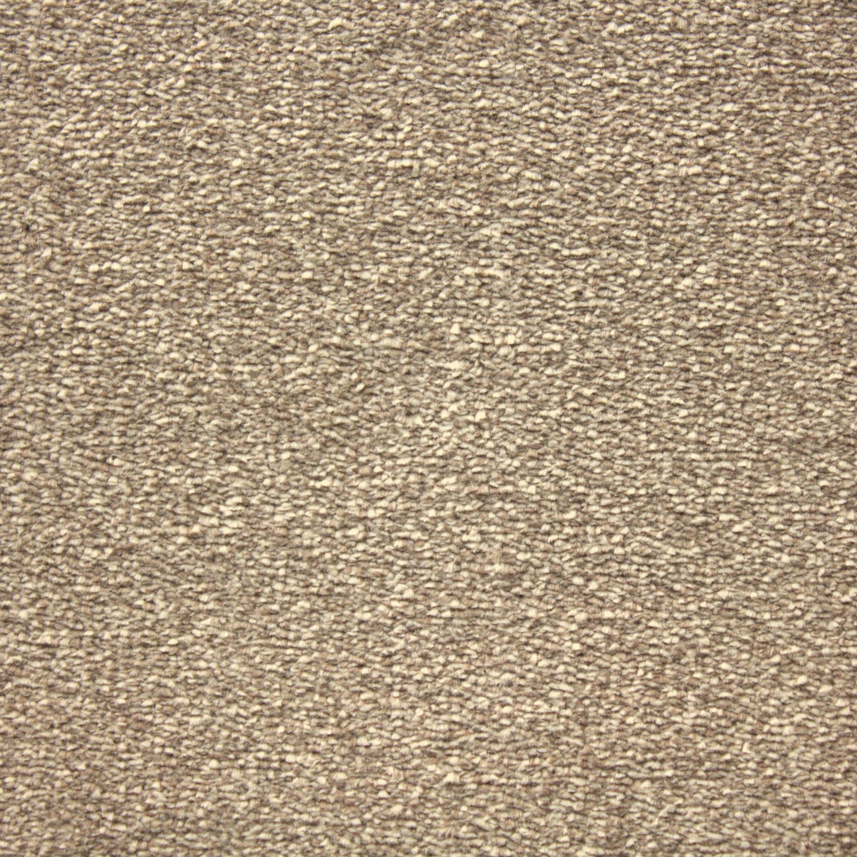 Hathaway New County Beige Carpet
