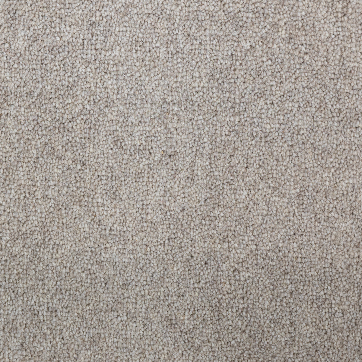 Chatsworth Drk Beig 40oz 68 Carpet