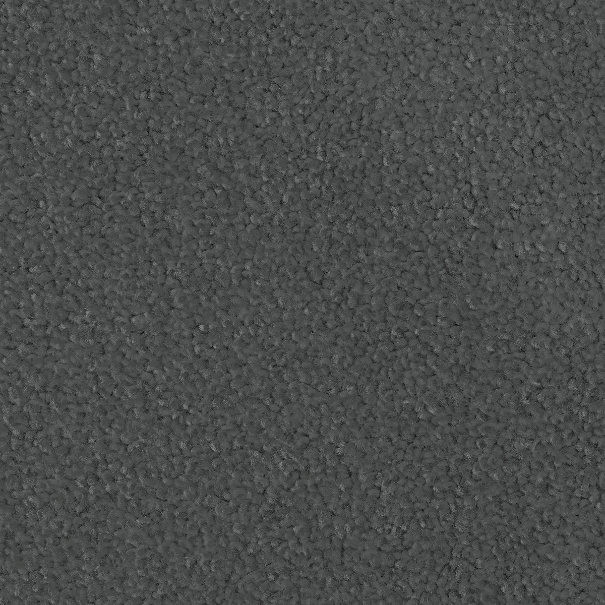 Feelings AB Carbon 758 Carpet