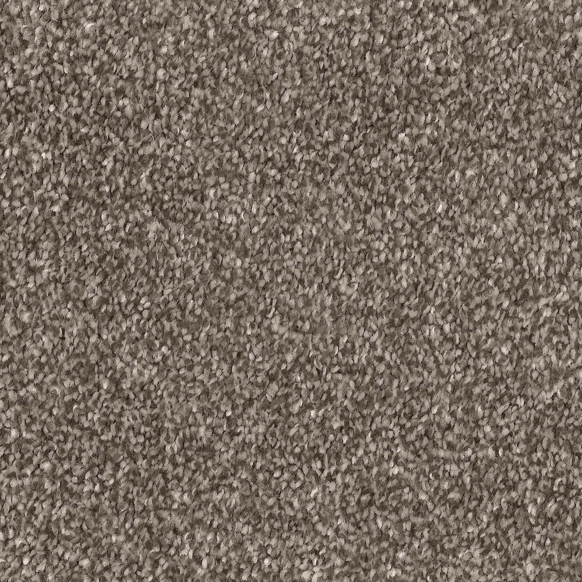 Captivating Misty Carpet