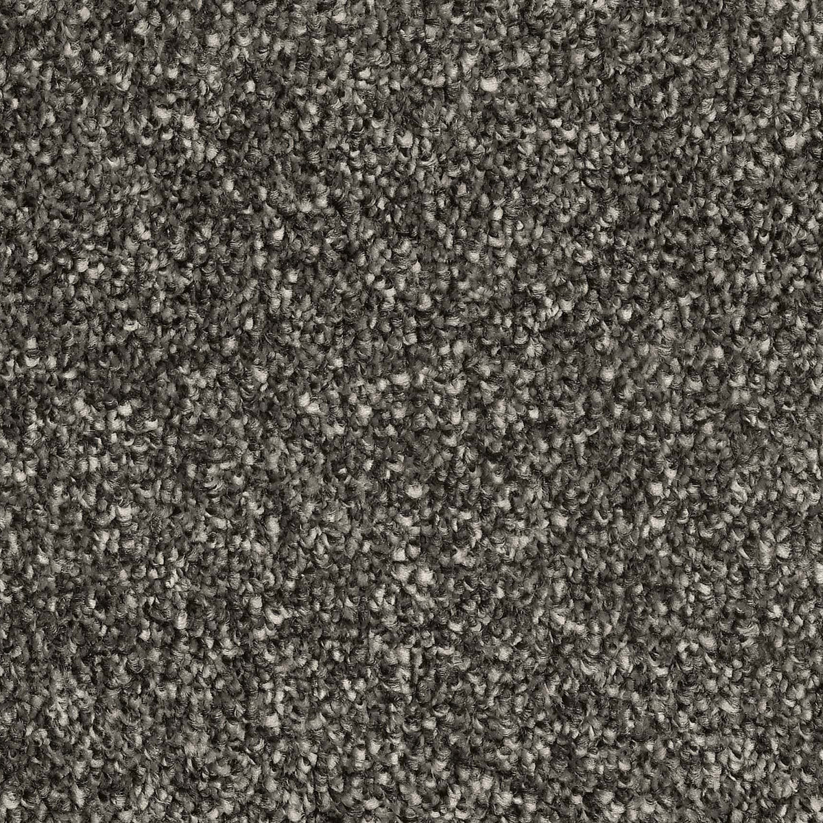 Captivating Twilight Carpet