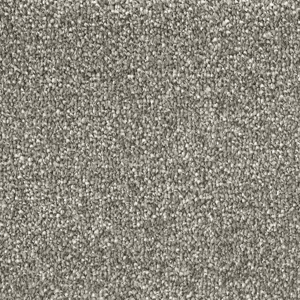 Cosmopolitan Seashell 512 Carpet