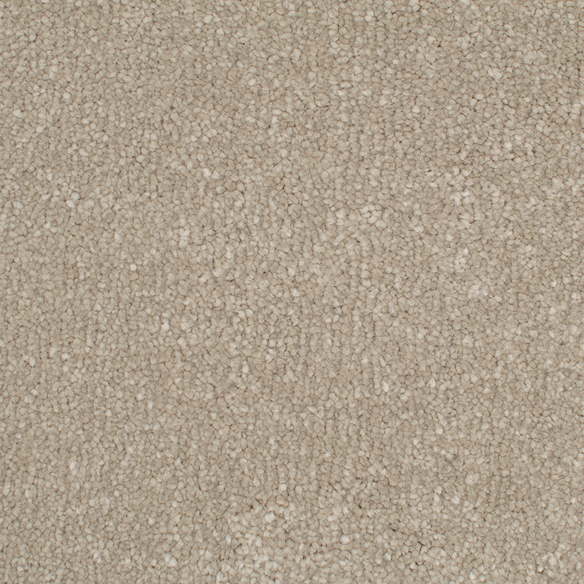 Endless Affection Soft Sable 7007 Carpet