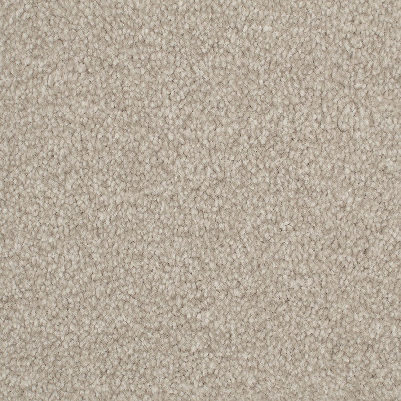 Tender Embrace Egyptain Cotton 4001 Carpet