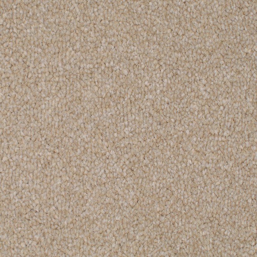 Tender Embrace Harvest Festival 4011 Carpet