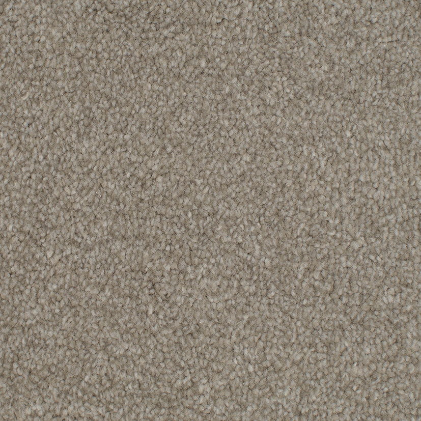 Tender Embrace Twine 4003 Carpet