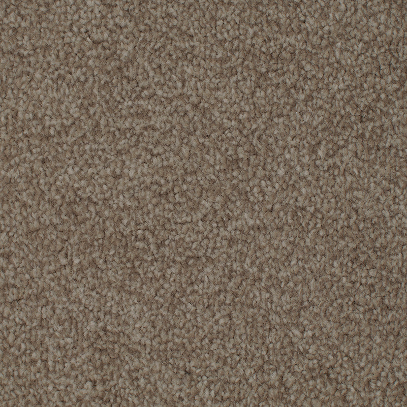 Tender Embrace Malt 4004 Carpet