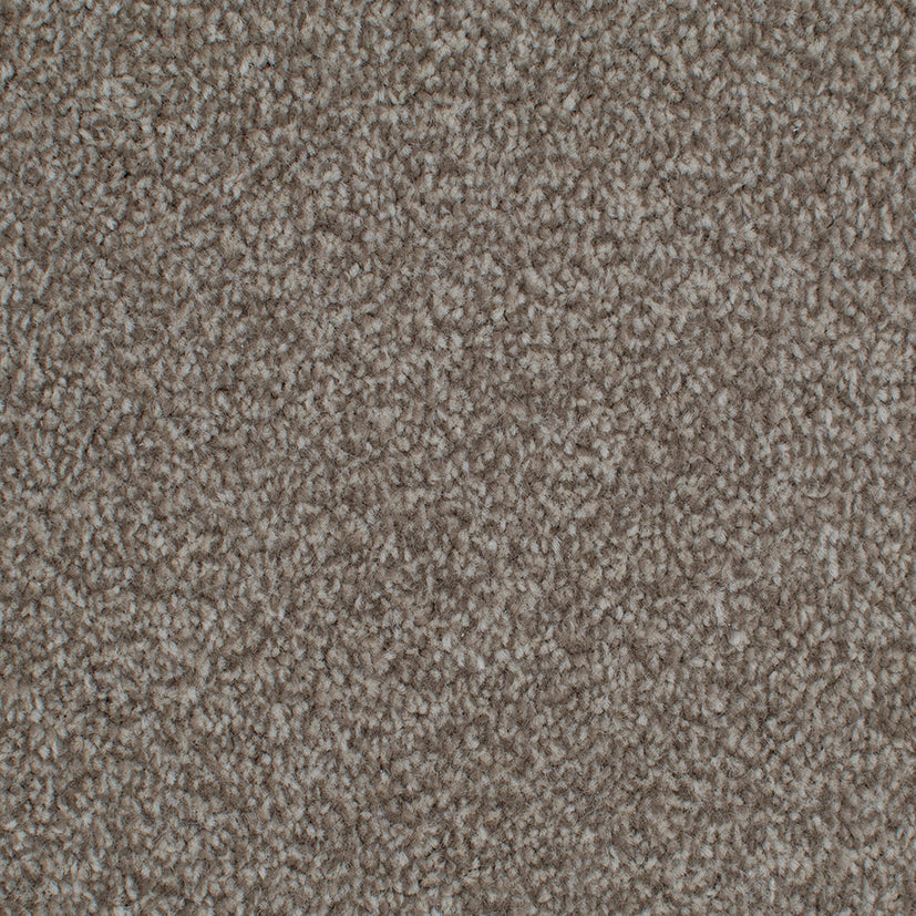 Tender Embrace Barley 4013 Carpet