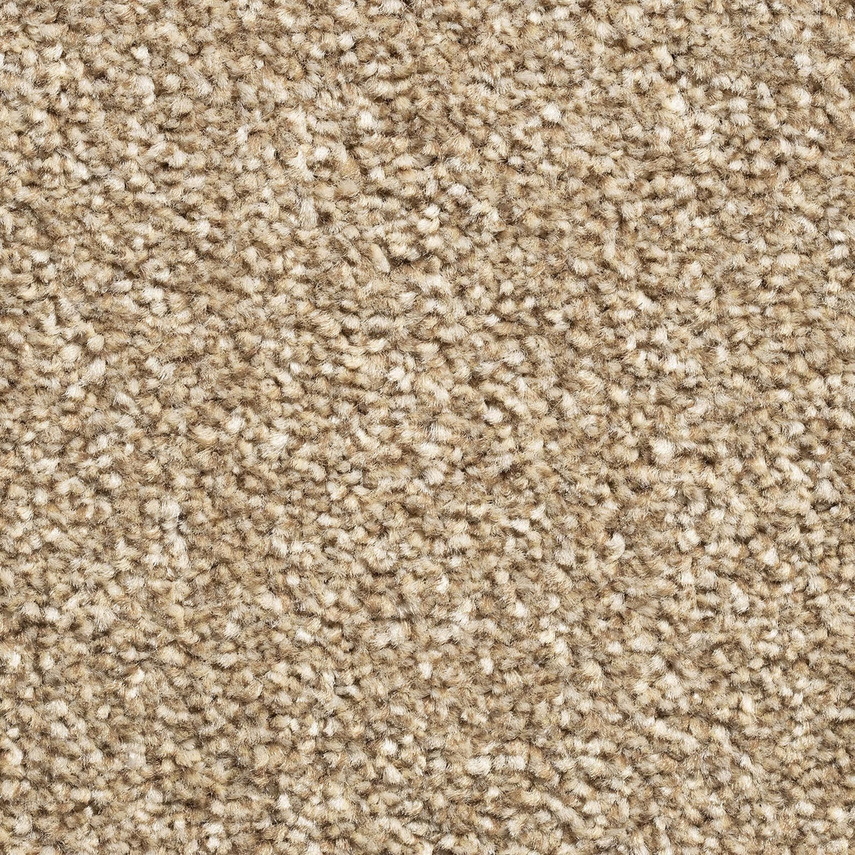 Brooklyn Elite Sand 70 Carpet