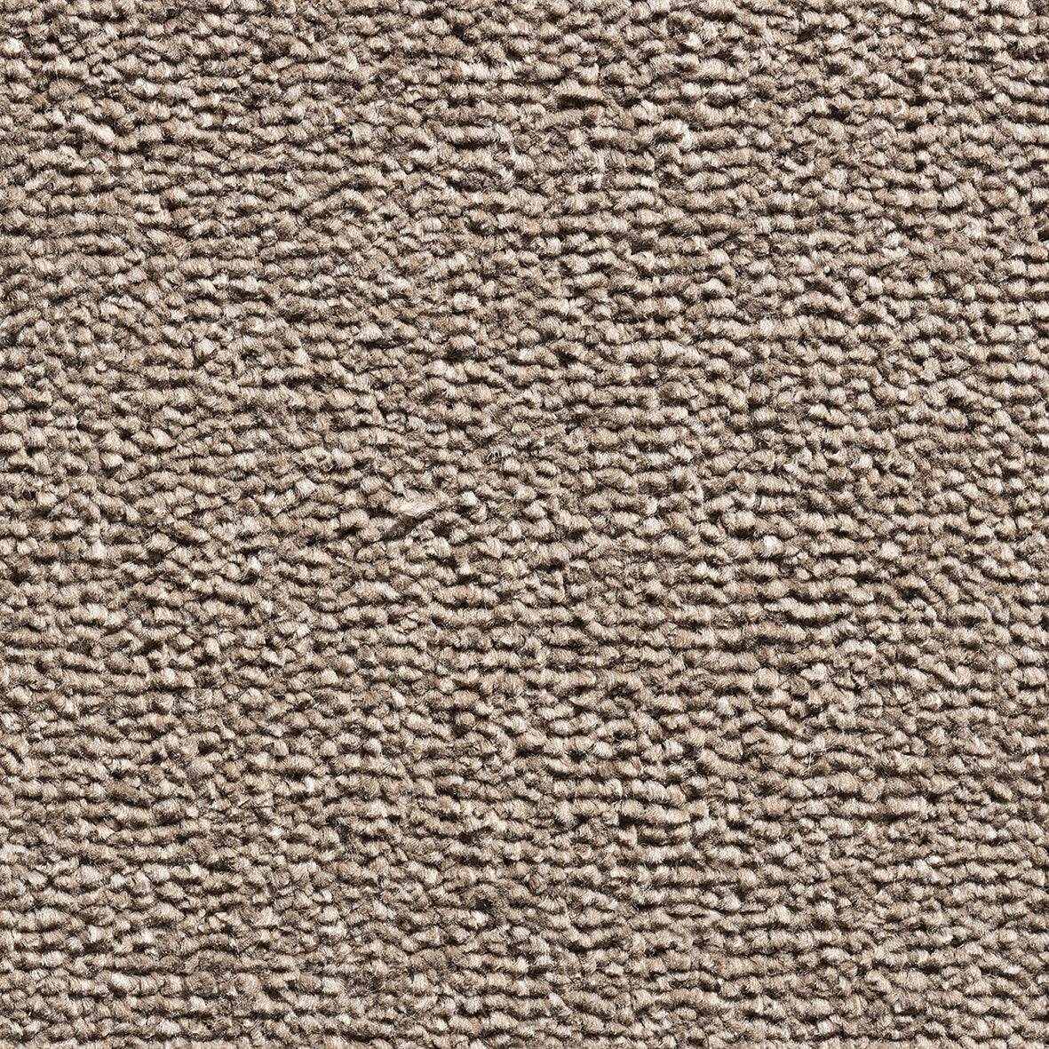 Revolution Supreme SB Chocolate 90 Carpet