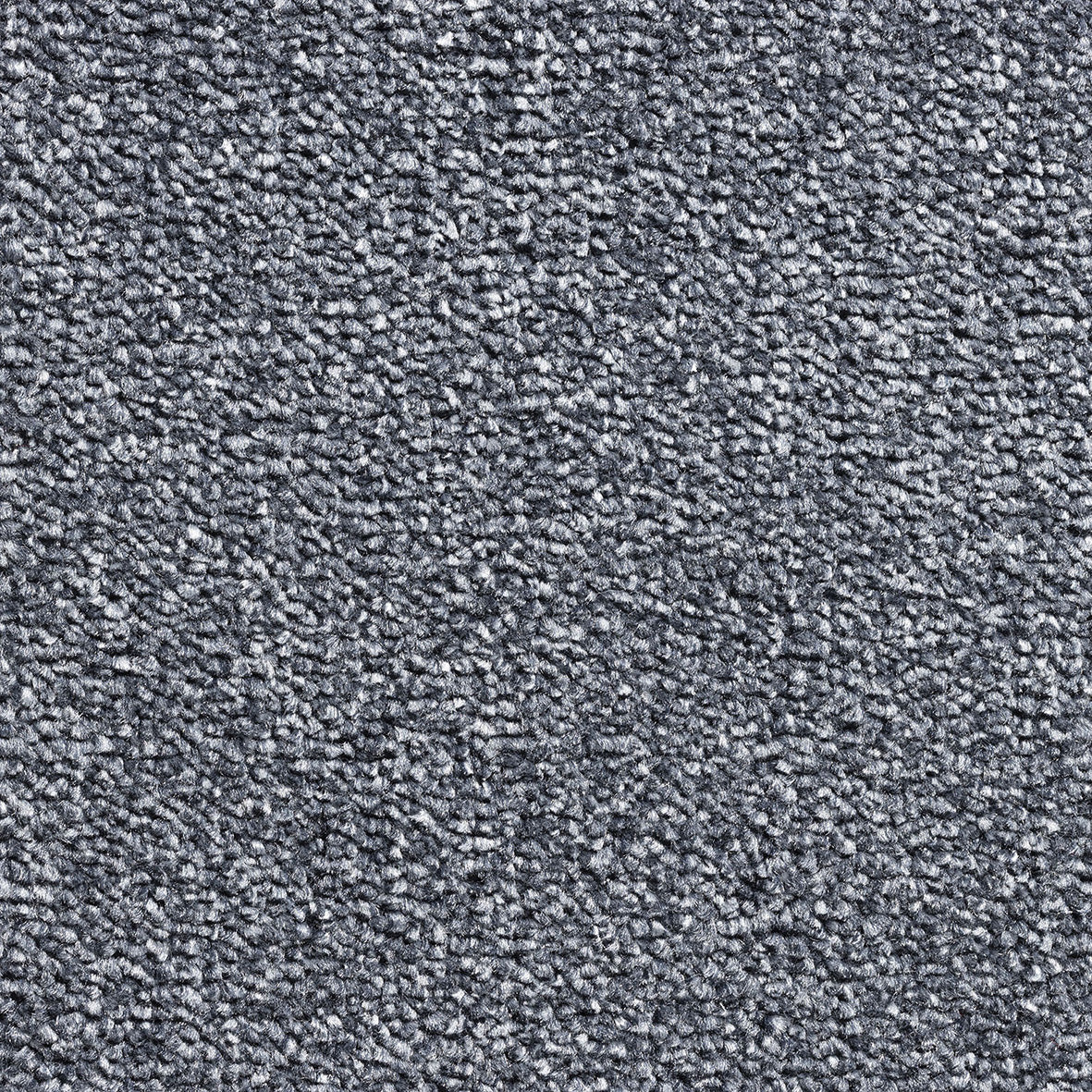 Revolution Supreme SB Denim 385 Carpet