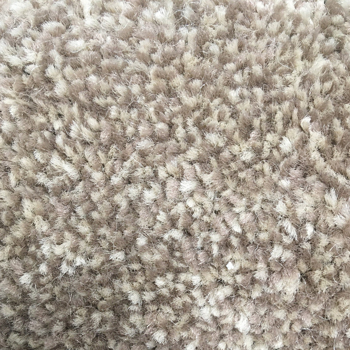 Cathedral Saxony Biscuit 72 Carpet