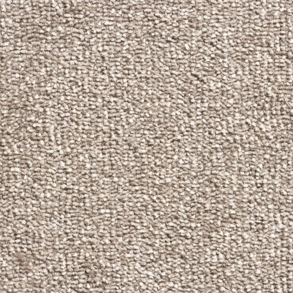 Astoria SB Biscuit 90 Carpet