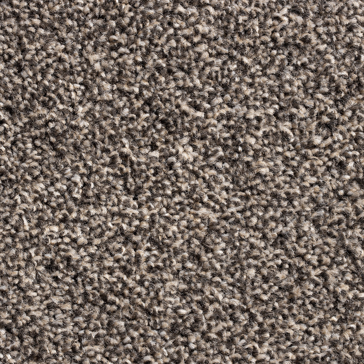 Vilamoura Beaver 94 Carpet