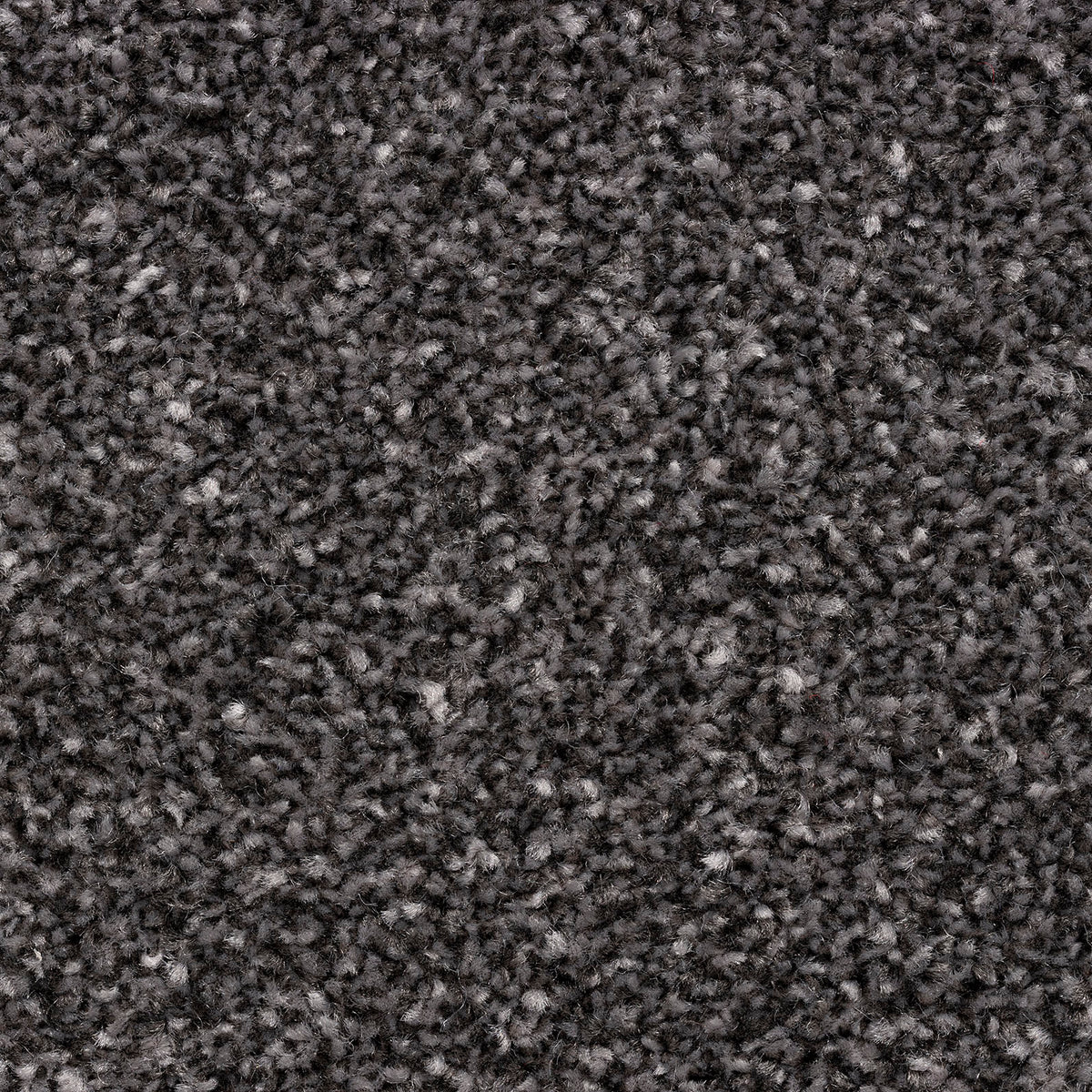 Zanzibar Classic Peppercorn 176 Carpet