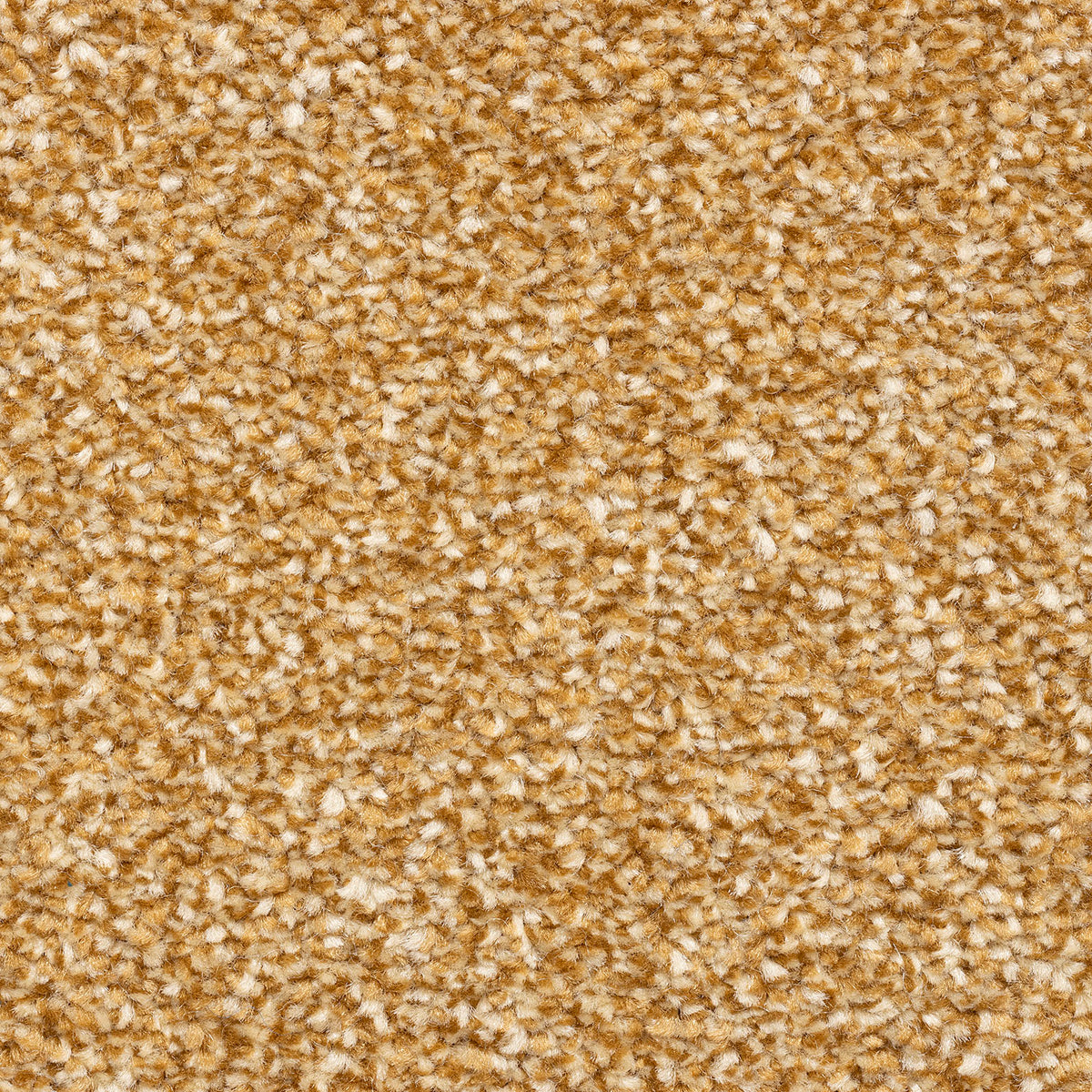 Zanzibar Supreme Midas 50 Carpet