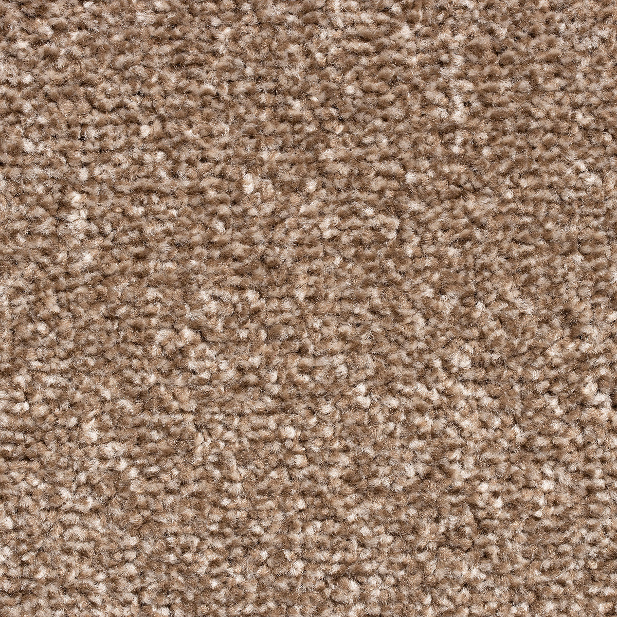 Amsterdam SB Mocca 192 Carpet