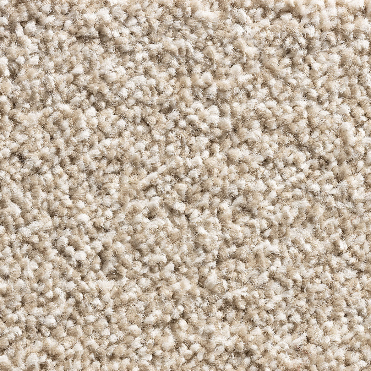 Alps SB Biscuit 72 Carpet