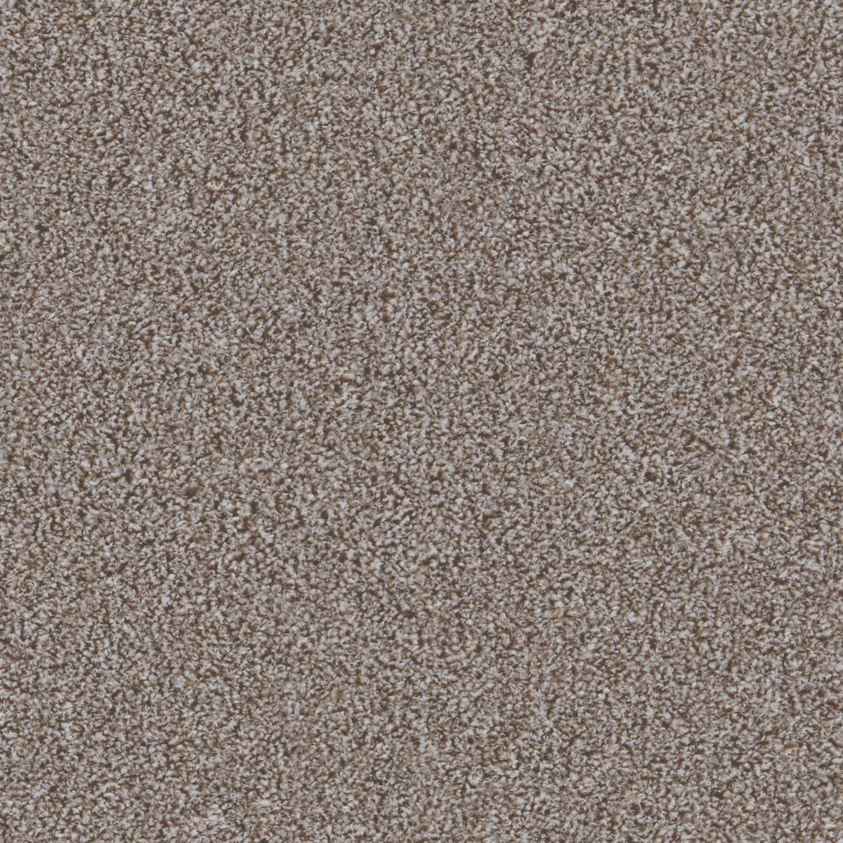 Cairo SB Stone 90 Carpet