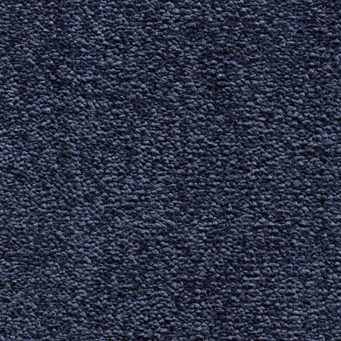 Maryland SB Ocean 85 Carpet