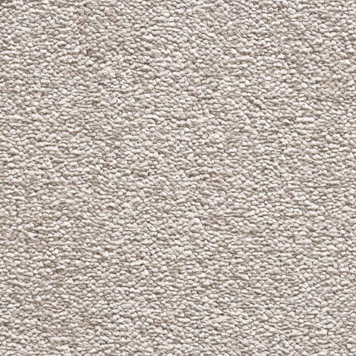 Maryland SB Malt 72 Carpet
