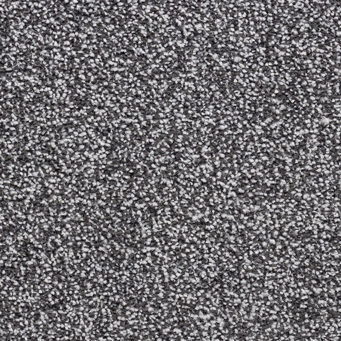 Saffron SB Graphite 176 Carpet