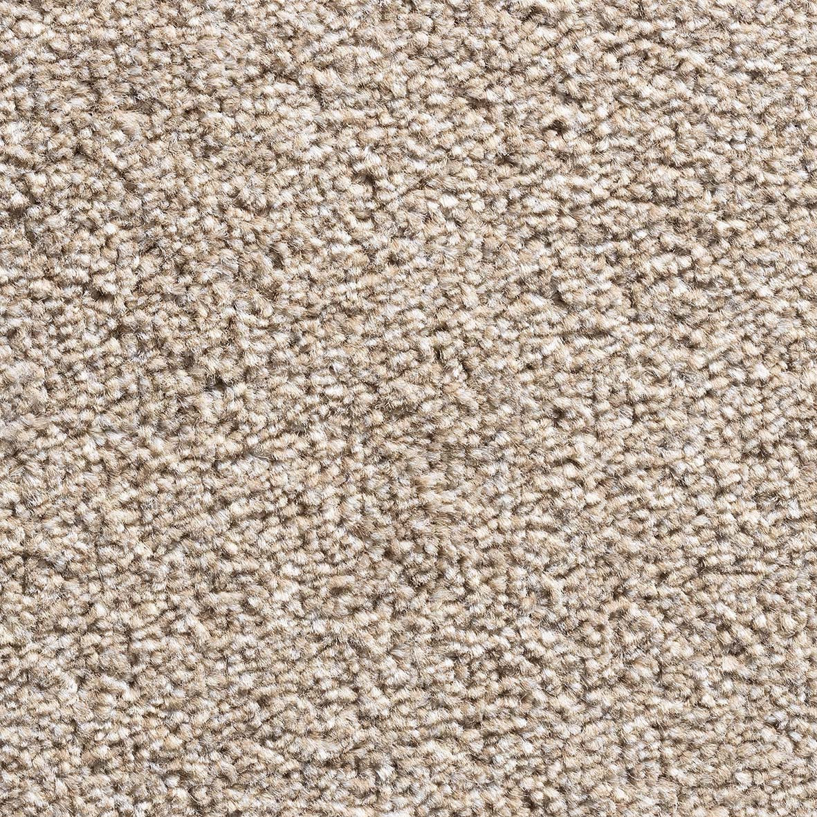 Royal Prestige Latte 75 Carpet