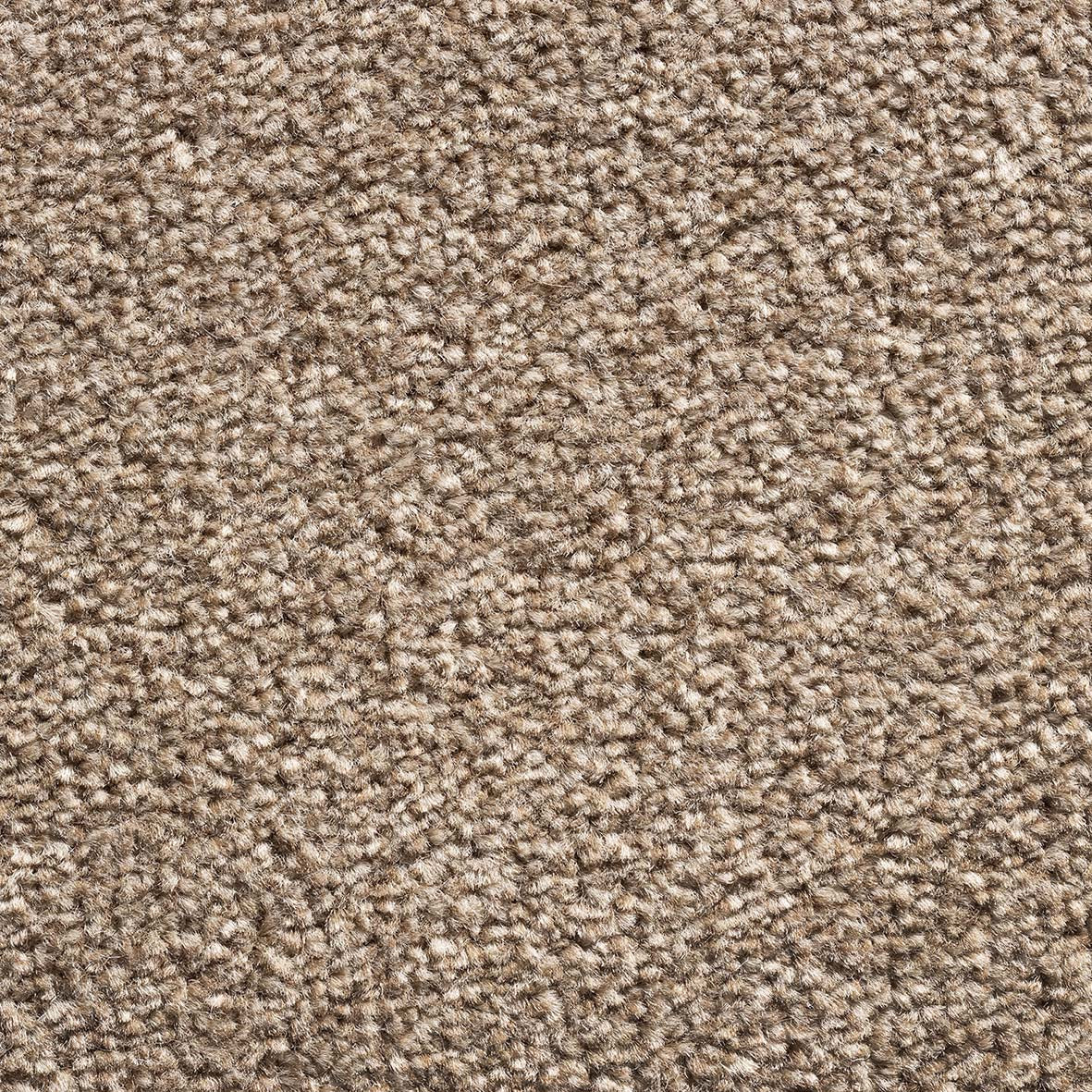 Royal Prestige Bark 92 Carpet