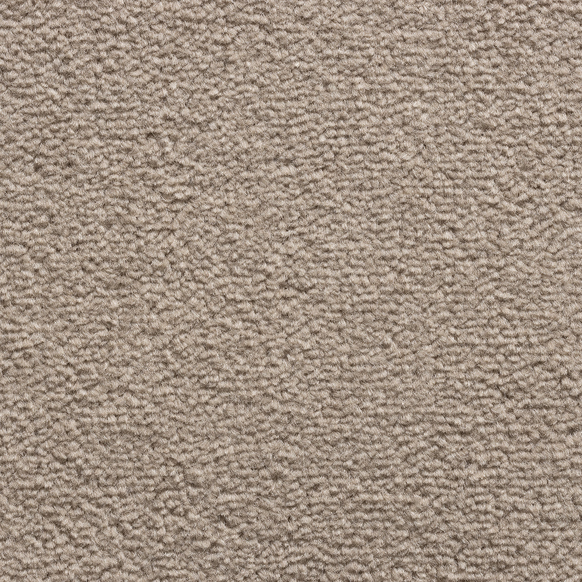 Revolution SB Latte 191 Carpet