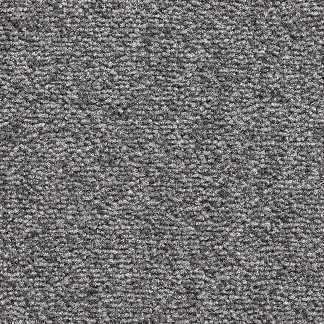 Revolution SB Fossil 275 Carpet