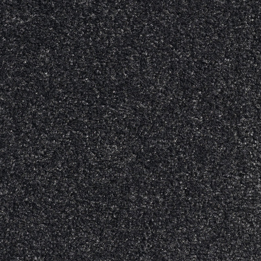 Revolution SB Platinum 78 Carpet