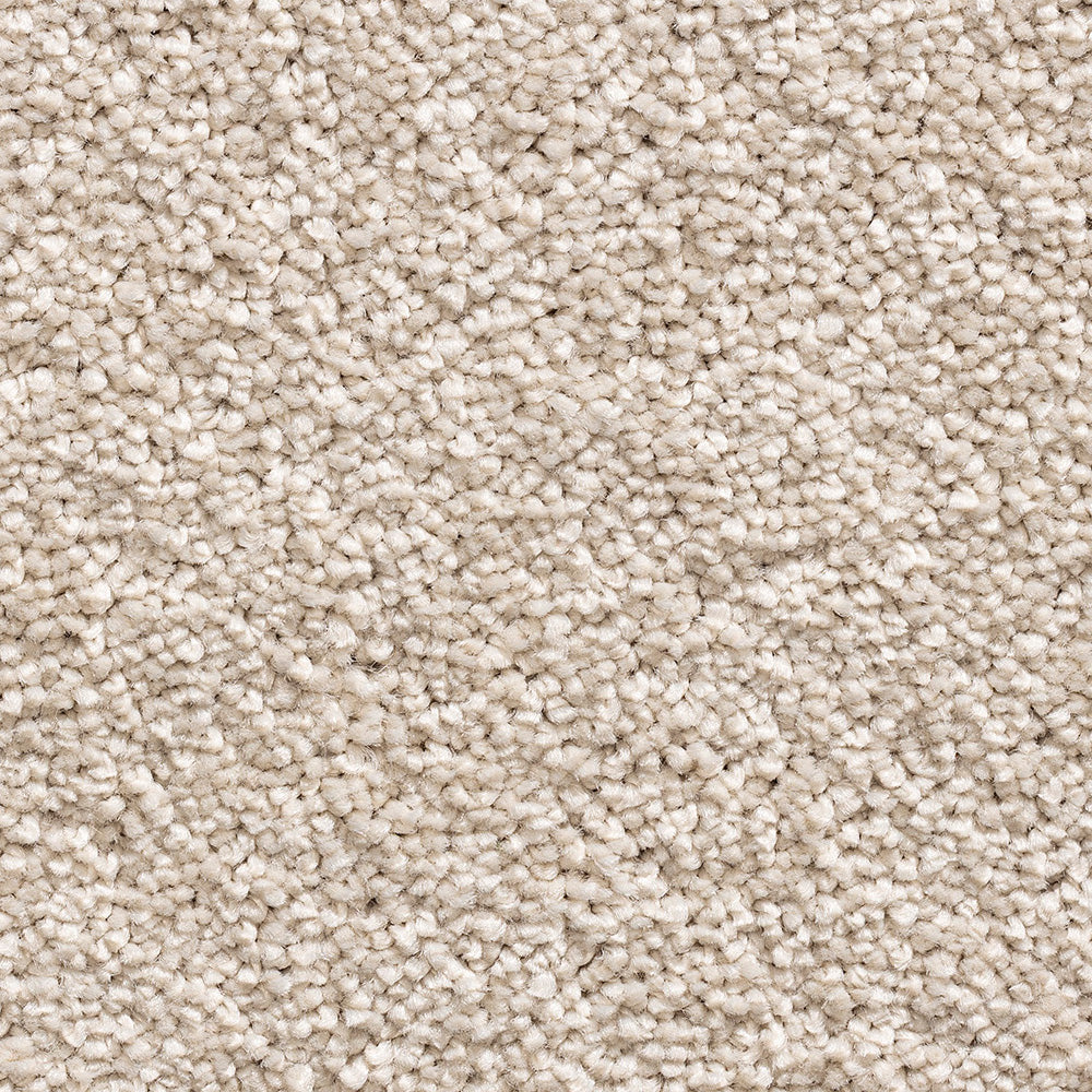 Serene Duo Warm White 569 Carpet