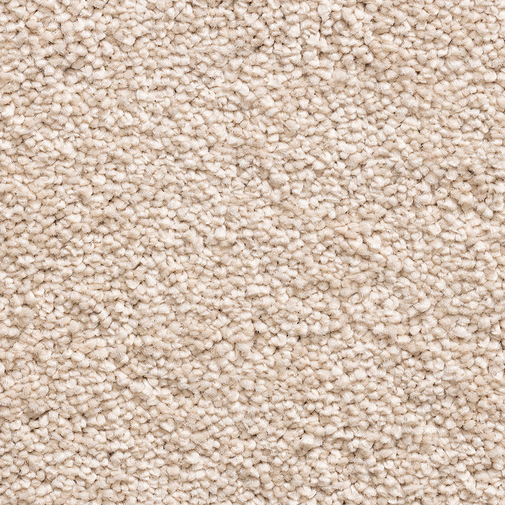 Serene Duo Alabaster 672 Carpet