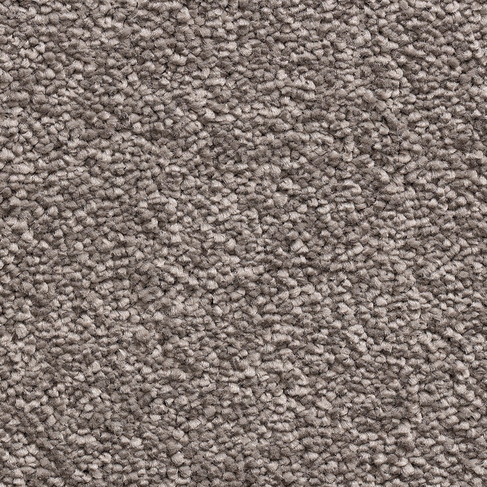Serene Duo Davy Grey 675 Carpet