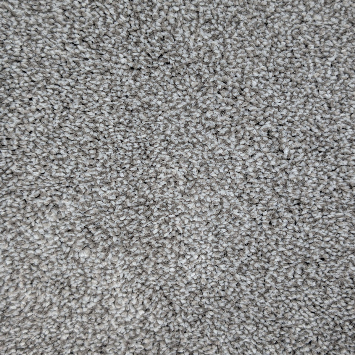 Polo Steel 75 Carpet