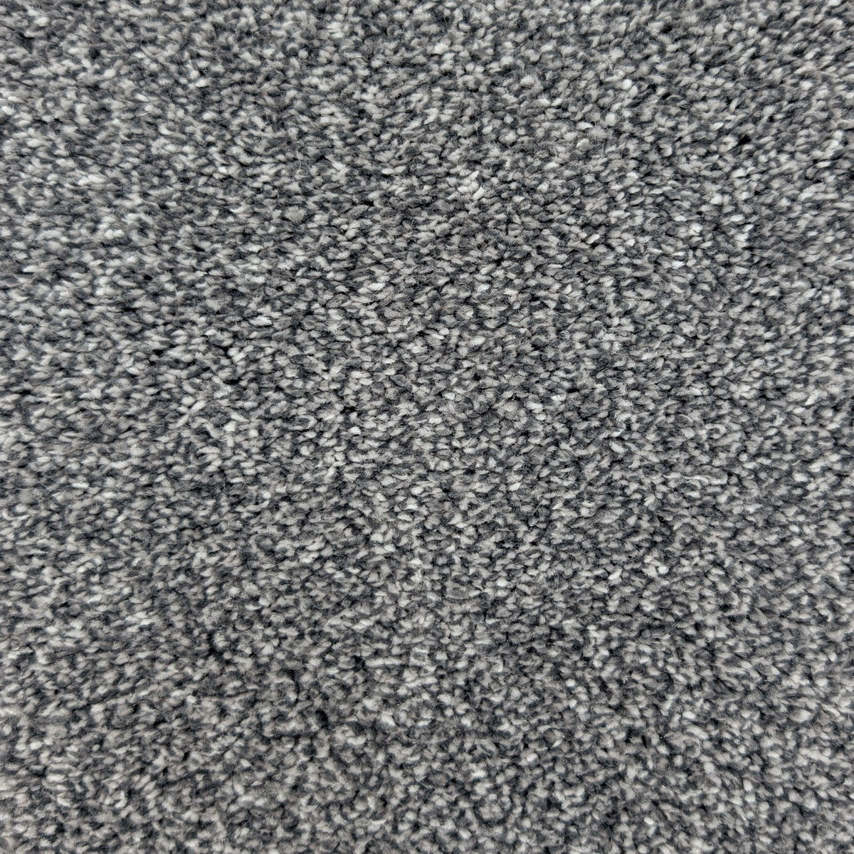 Polo Mercury 74 Carpet