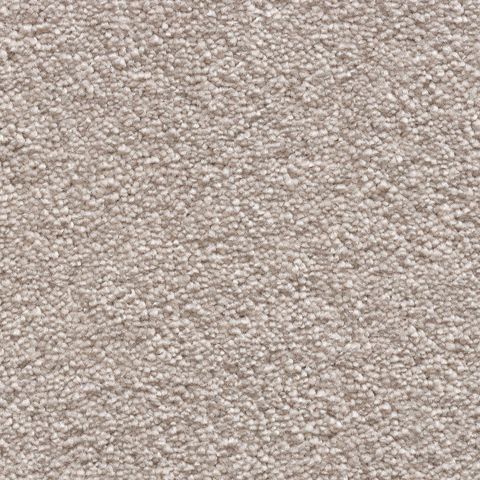 Tender Touch Classic 71 Carpet