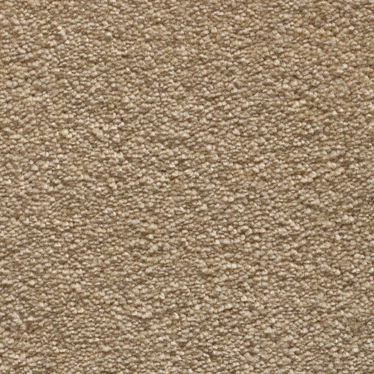 Tender Touch Classic 172 Carpet