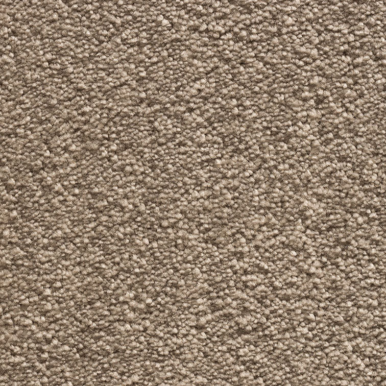 Tender Touch Classic 73 Carpet