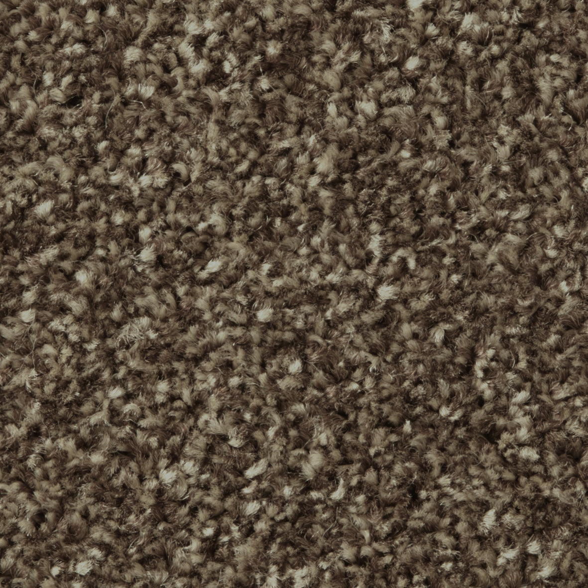 Apollo Plus AB Mahogany Carpet