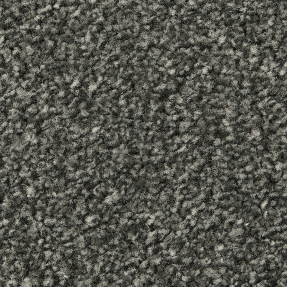 Apollo Plus AB Nigella Carpet
