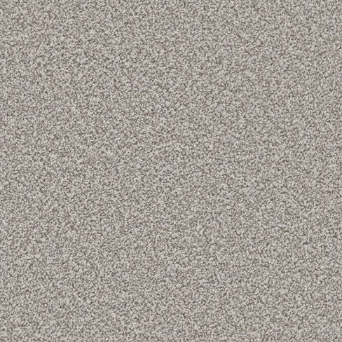Apollo Plus AB Meteorite Carpet