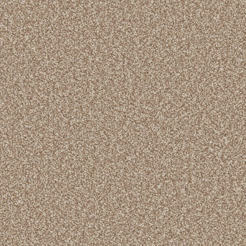 Primo Ultra AB Beaver Carpet