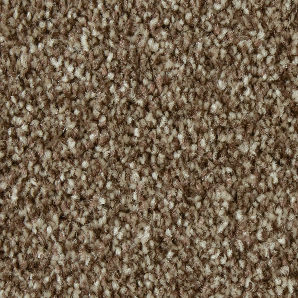 Primo Ultra AB Chocolate Carpet