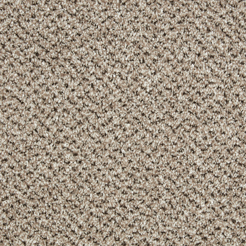 Primo Tweeds Moccasin Carpet