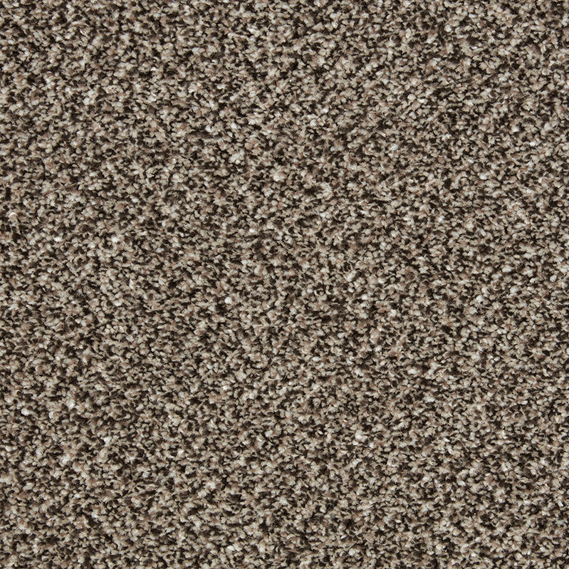 Primo Tweeds Rock Heath Carpet